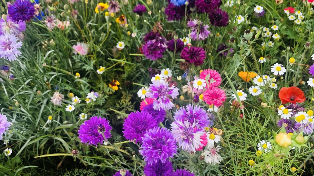 Golf & Country Club Velderhof