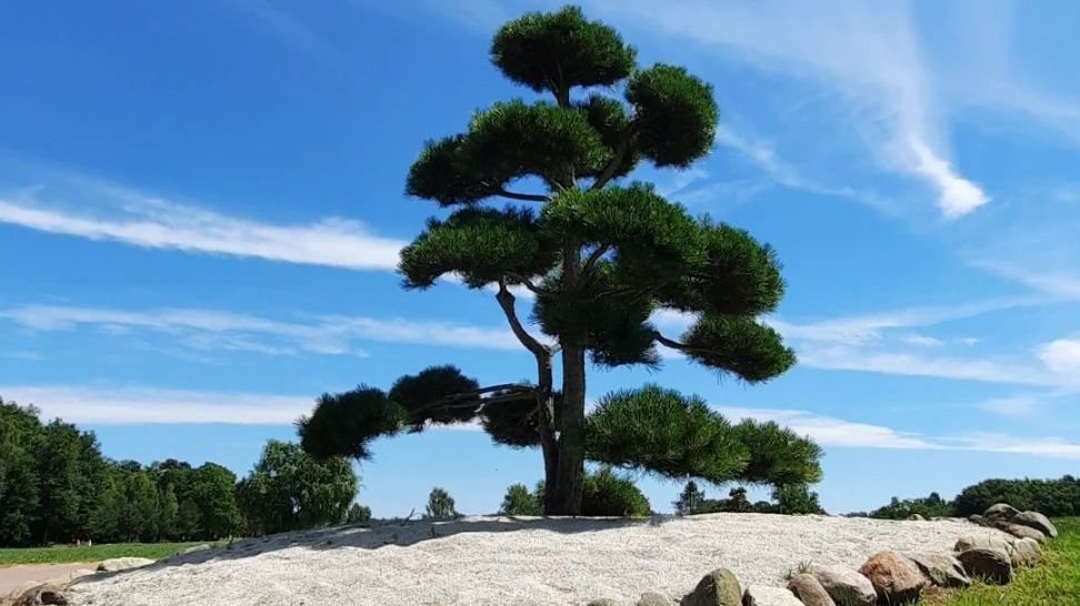 Green Eagle Golf Courses