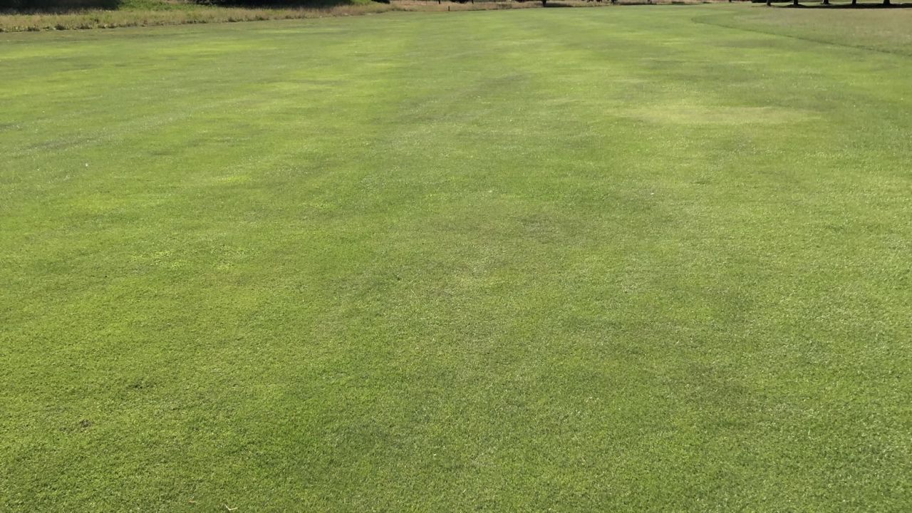 Golf & Country Club Velderhof