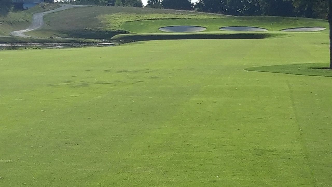 Green Eagle Golf Courses