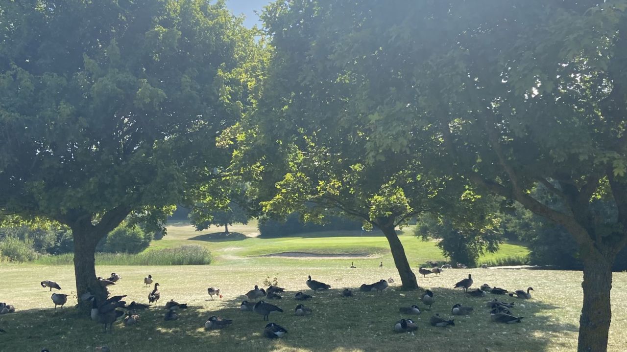 Golf- & LandClub Gut Uhlenhorst