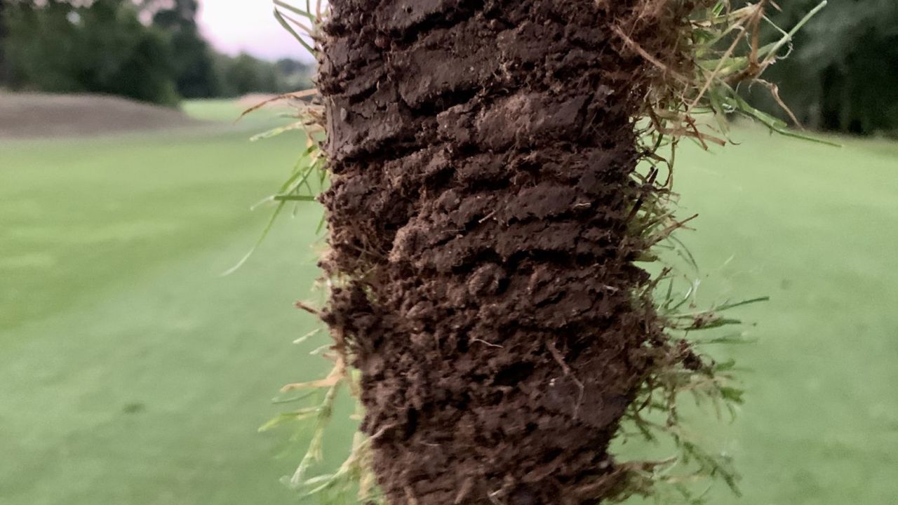 Hamburger LGC Hittfeld