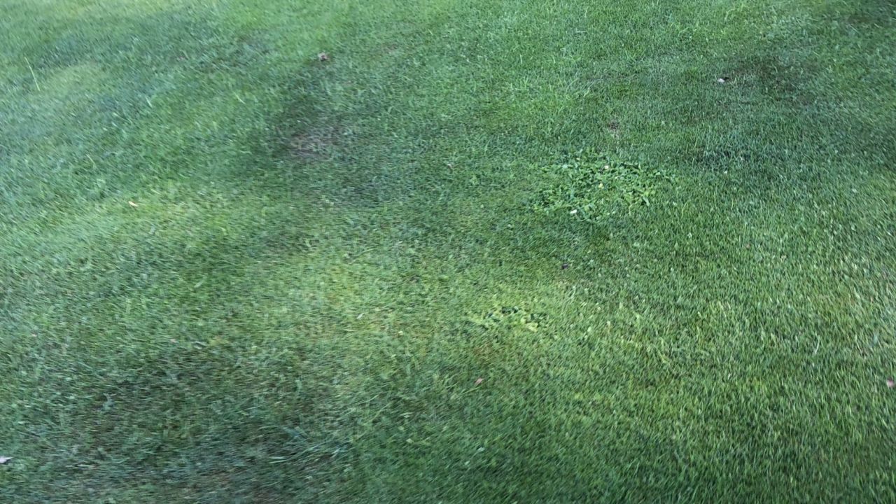 Golf & Country Club Velderhof