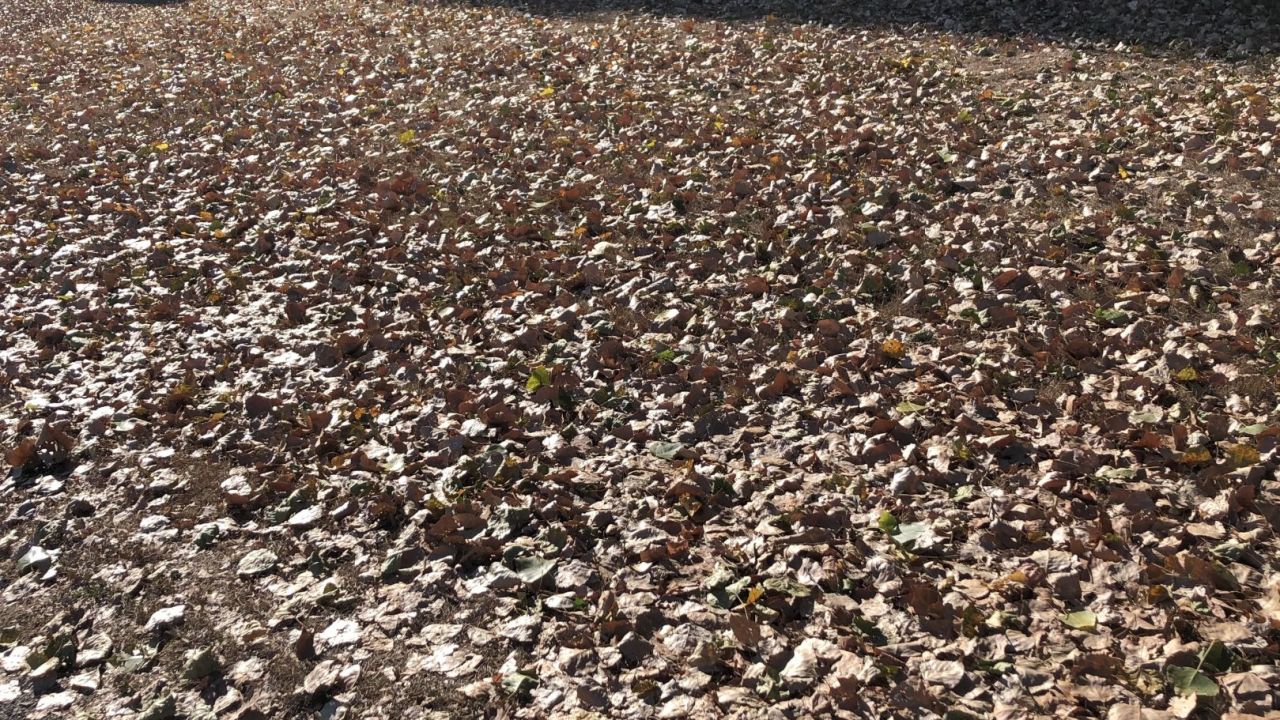 Golf & Country Club Velderhof