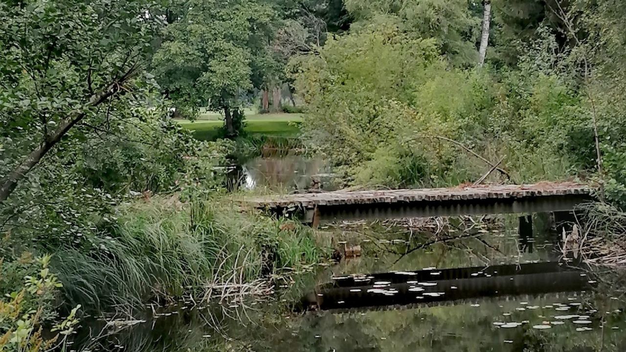 GC Schloss Klingenburg