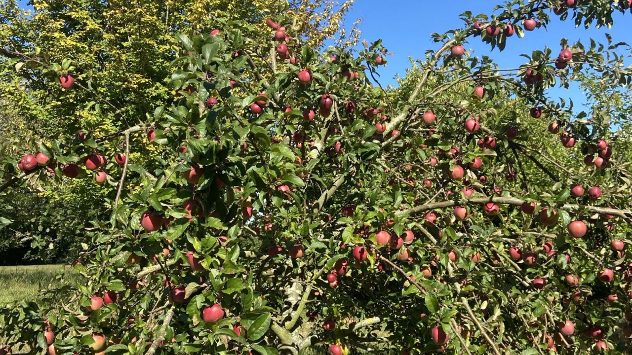 Golf & Country Club Hohwachter Bucht