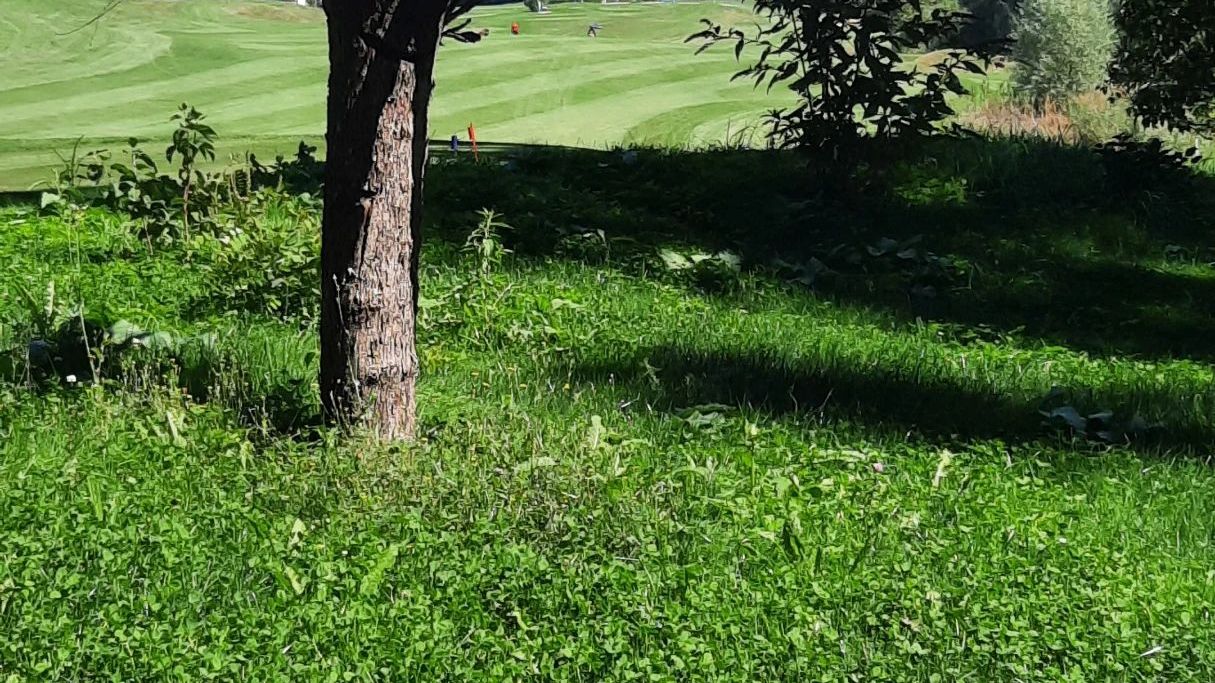 GC Steisslingen am Bodensee