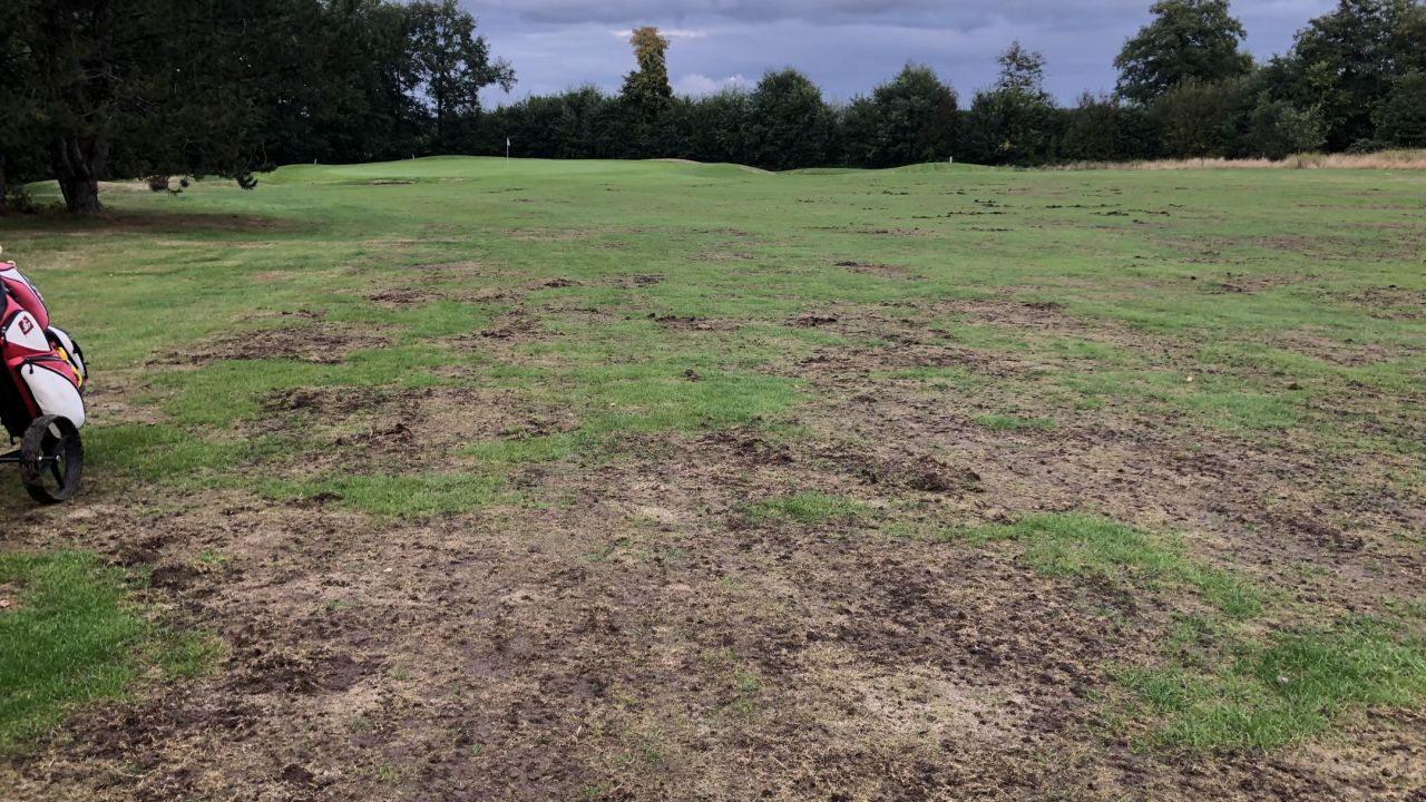 Mittelholsteinischer GC Aukrug