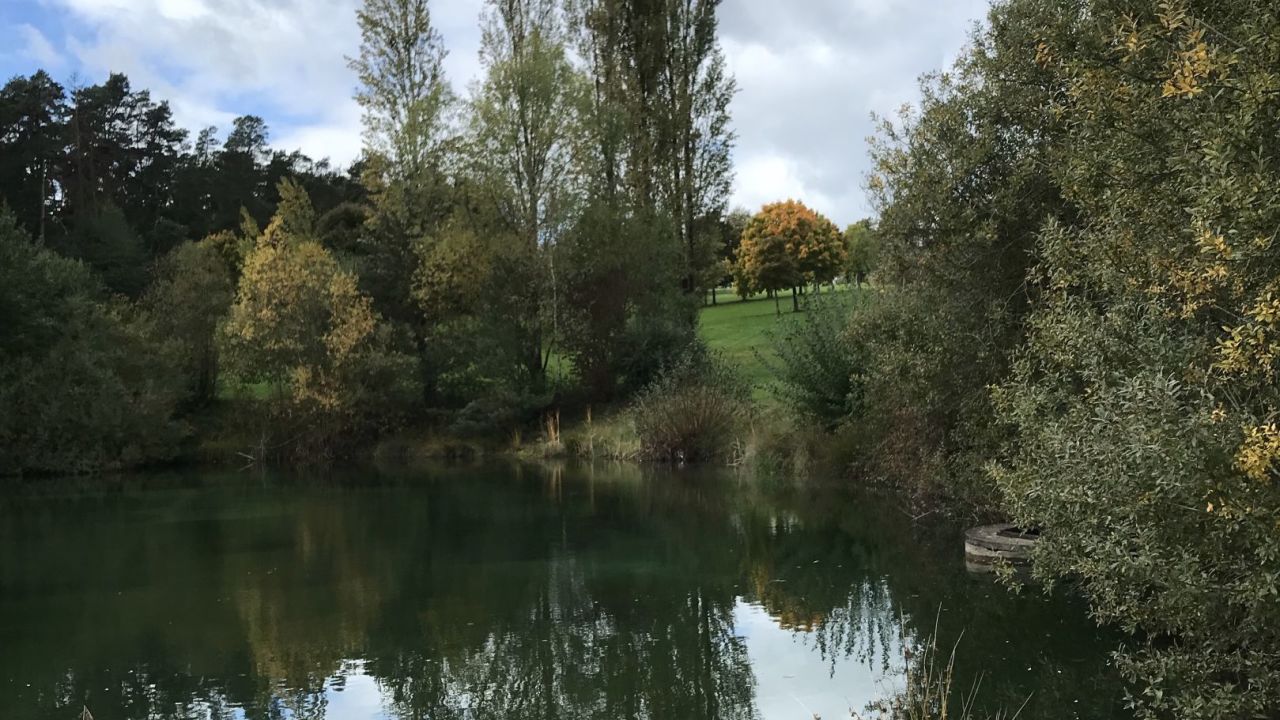 GC Steigerwald in Geiselwind