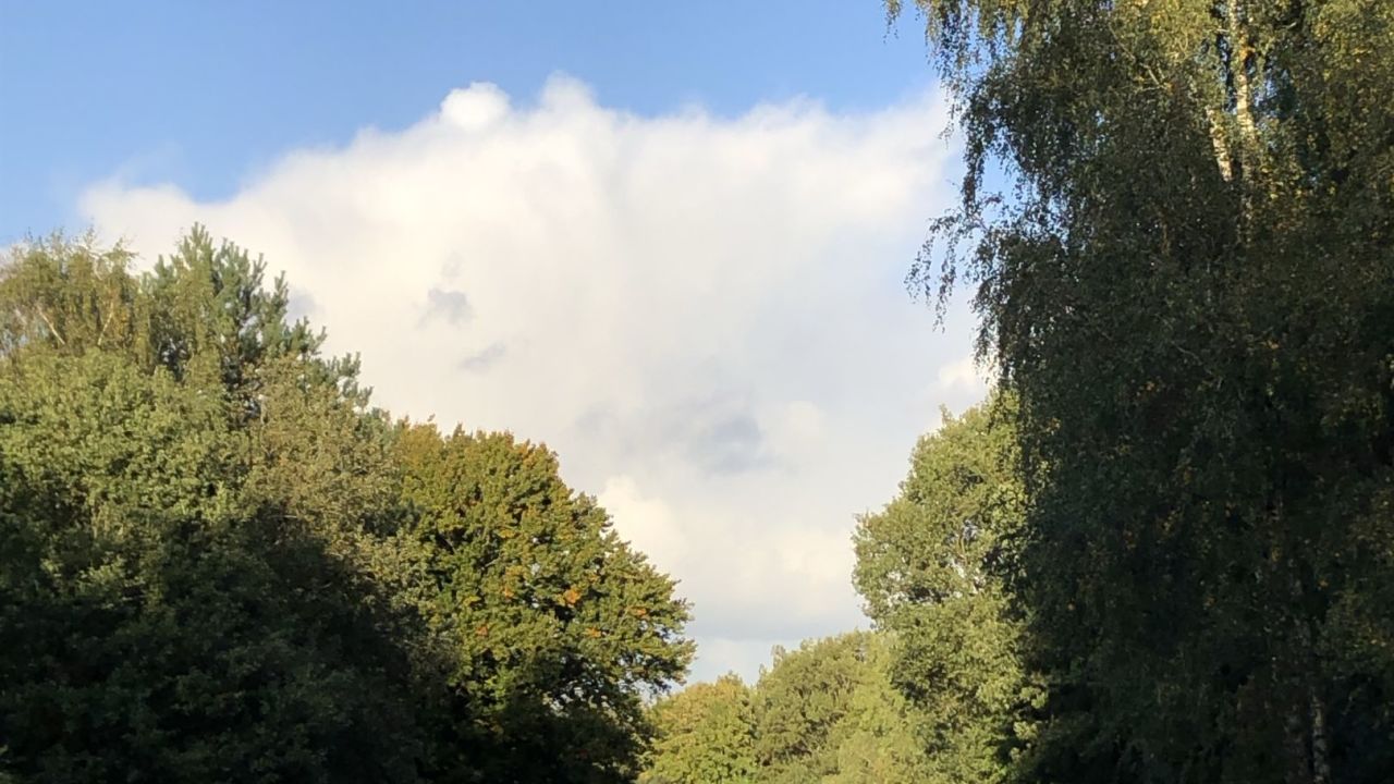 Mittelholsteinischer GC Aukrug