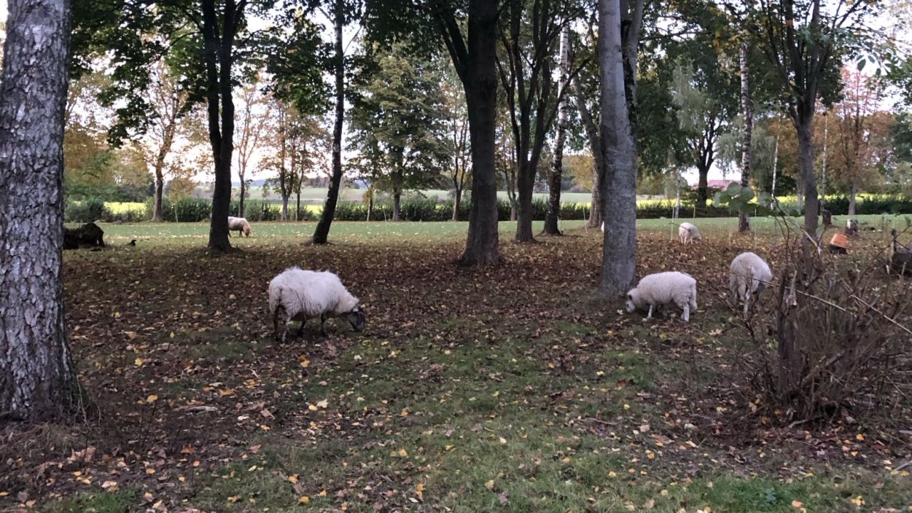 Golf Gut Ottenhausen