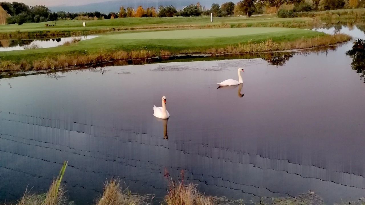 Green Eagle Golf Courses