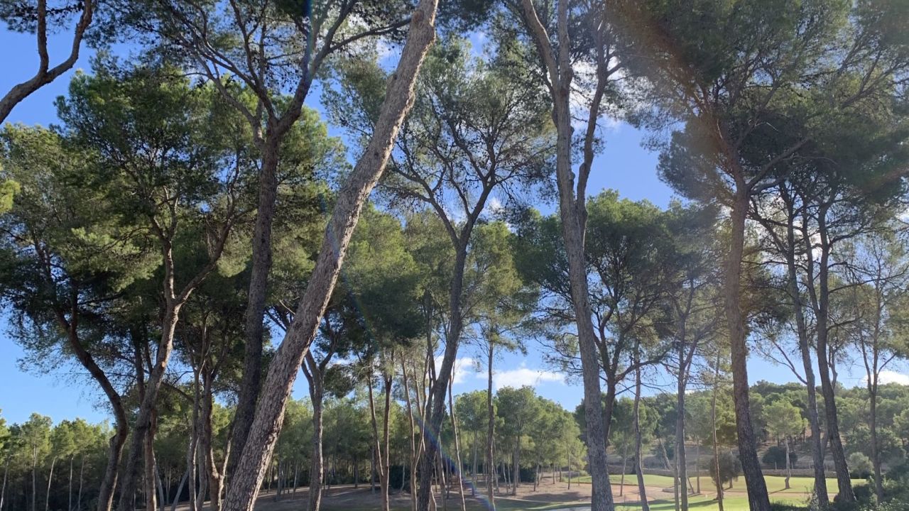 T-Golf & Country Club Poniente