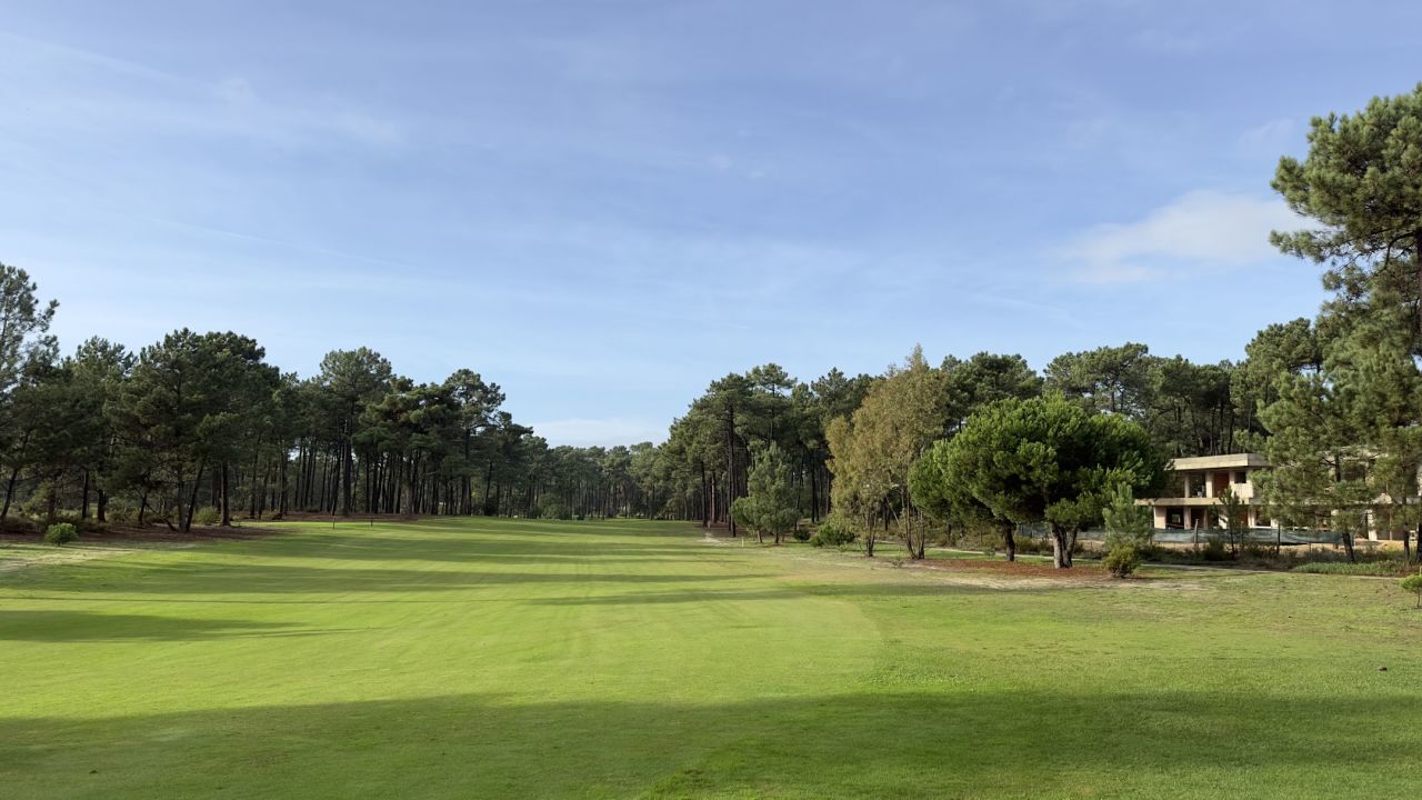 Heute habe ich den Aroeira Pin...