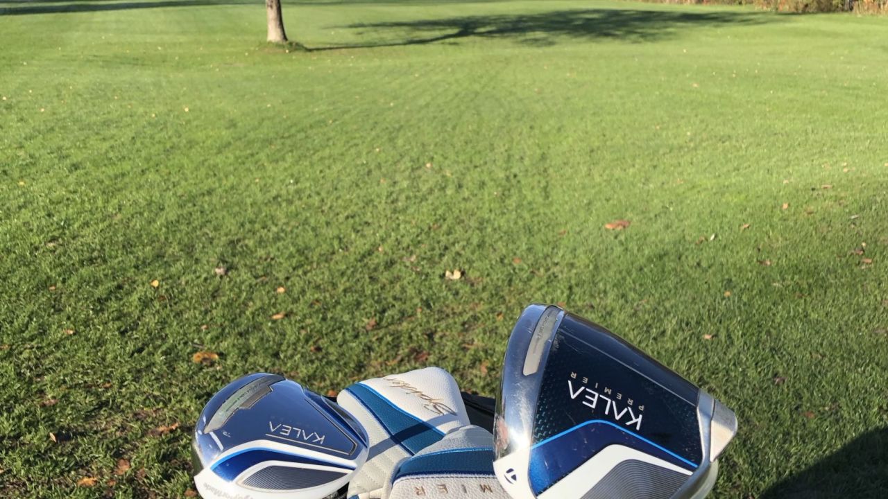 Die herrlichen Herbstsonnenstu...