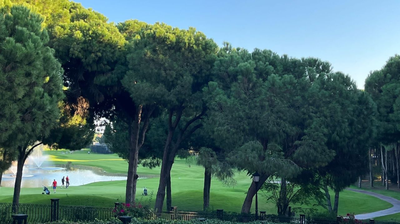 The Montgomery Maxx Royal