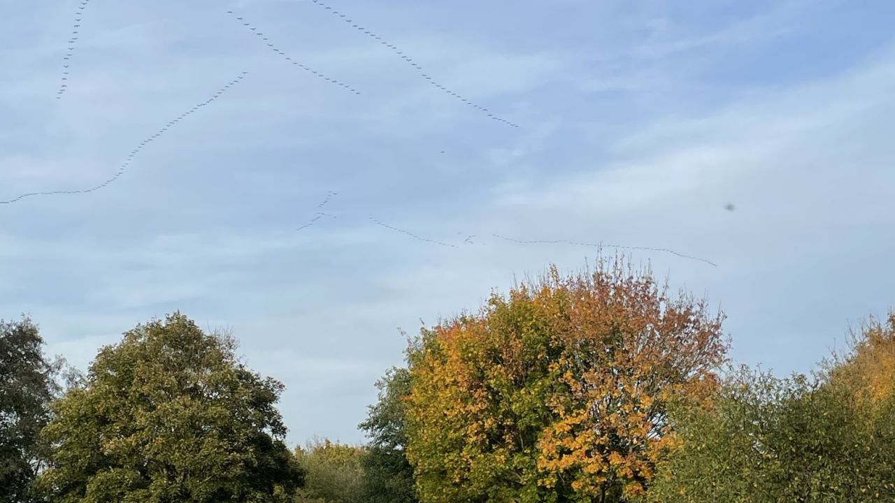 Guten Morgen liebe Frühaufsteh...