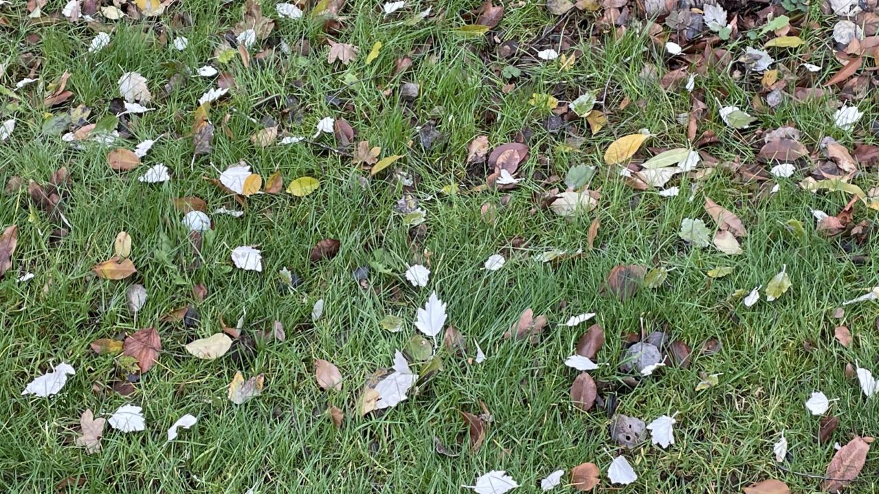 Wer findet den Ball ?
Nach dre...