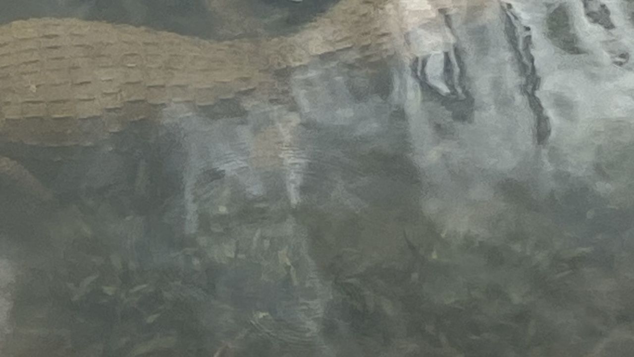 Summit Golf Club & Resort