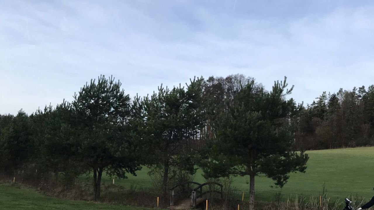 GC Gerhelm Nürnberger Land