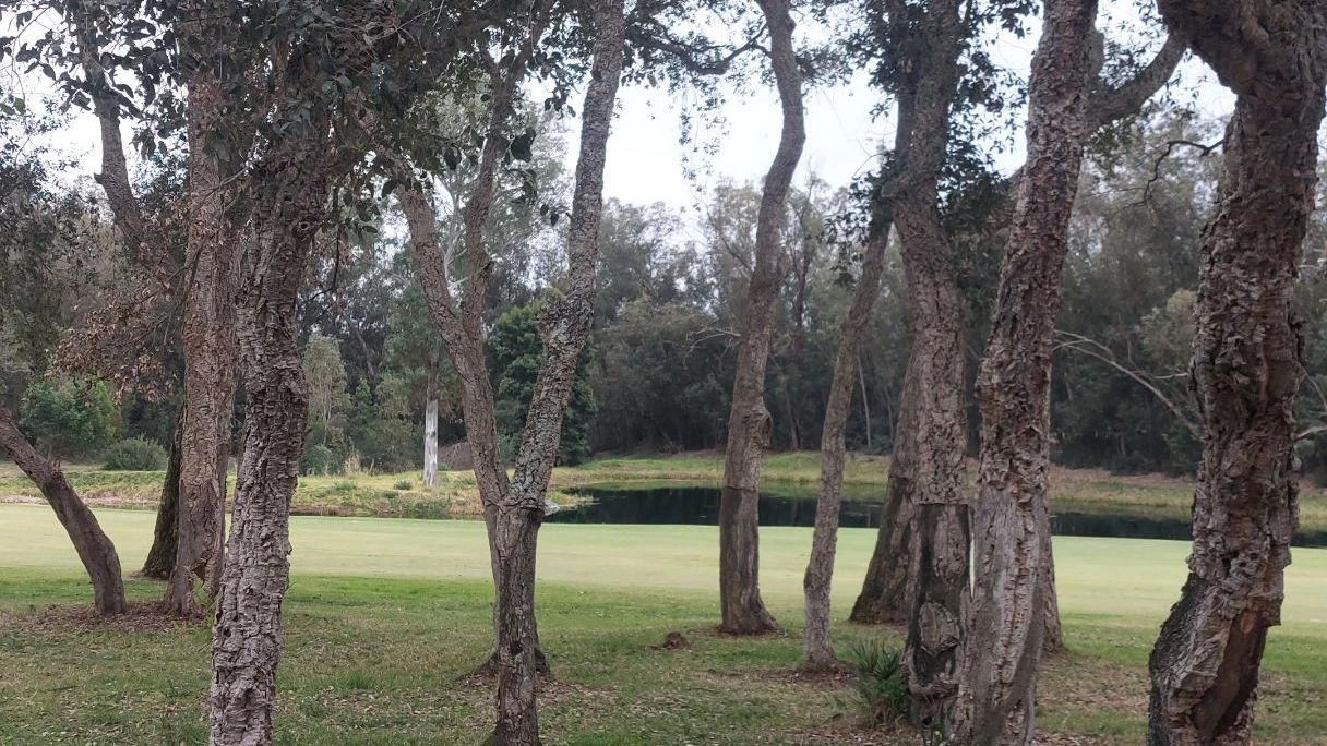 Royal Golf Dar Es Salam