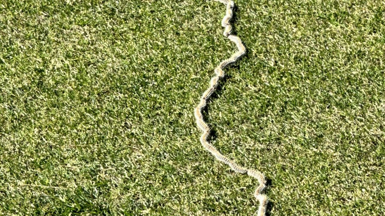 Club de Golf Alcanada