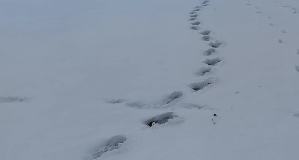 Golf Park Steinhuder Meer