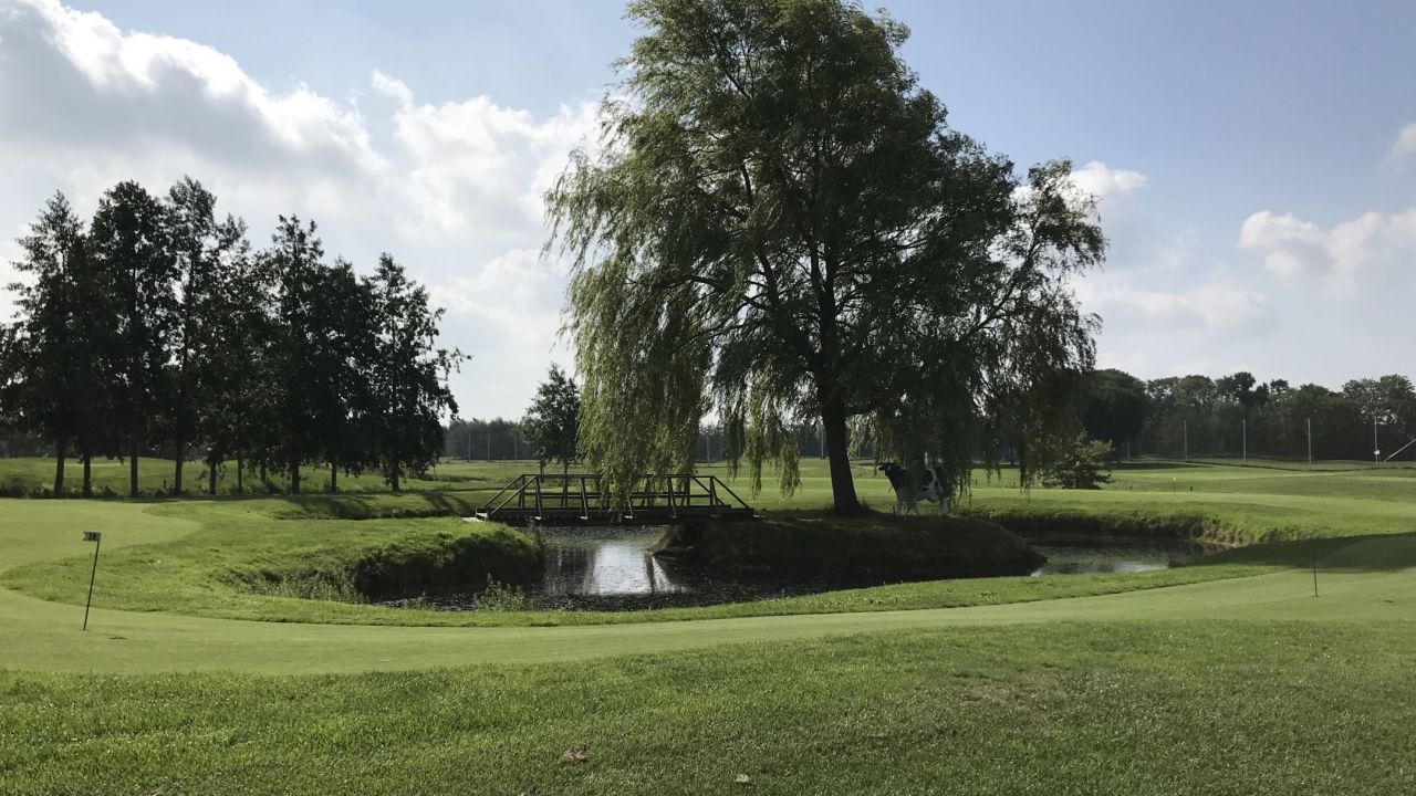 GC Wilhelmshaven-Friesland