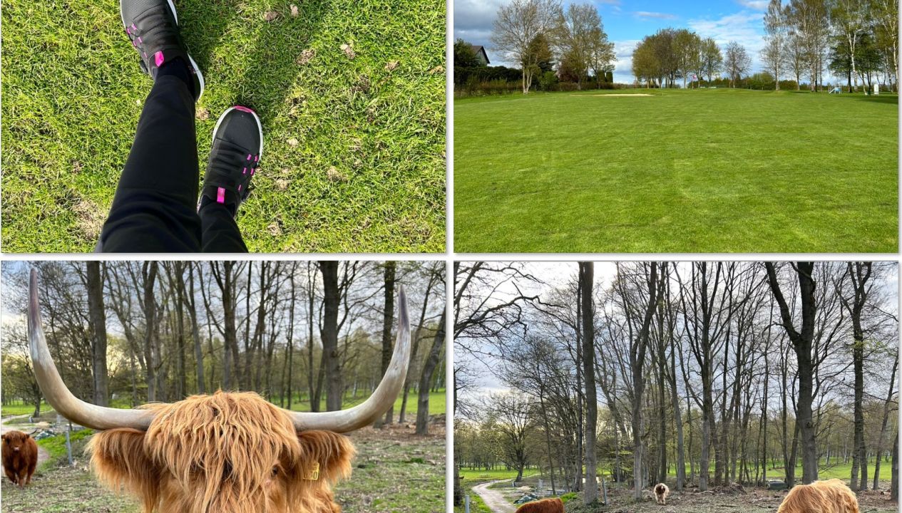 Golf Gut Ottenhausen