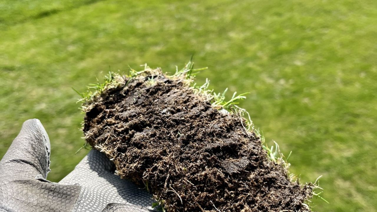 Green Eagle Golf Courses