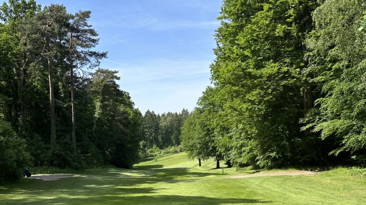 Hamburger LGC Hittfeld