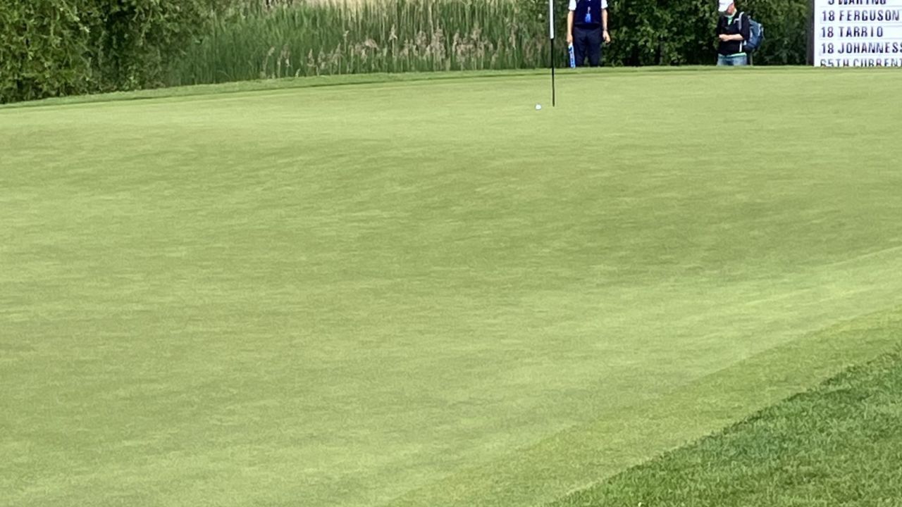 Green Eagle Golf Courses