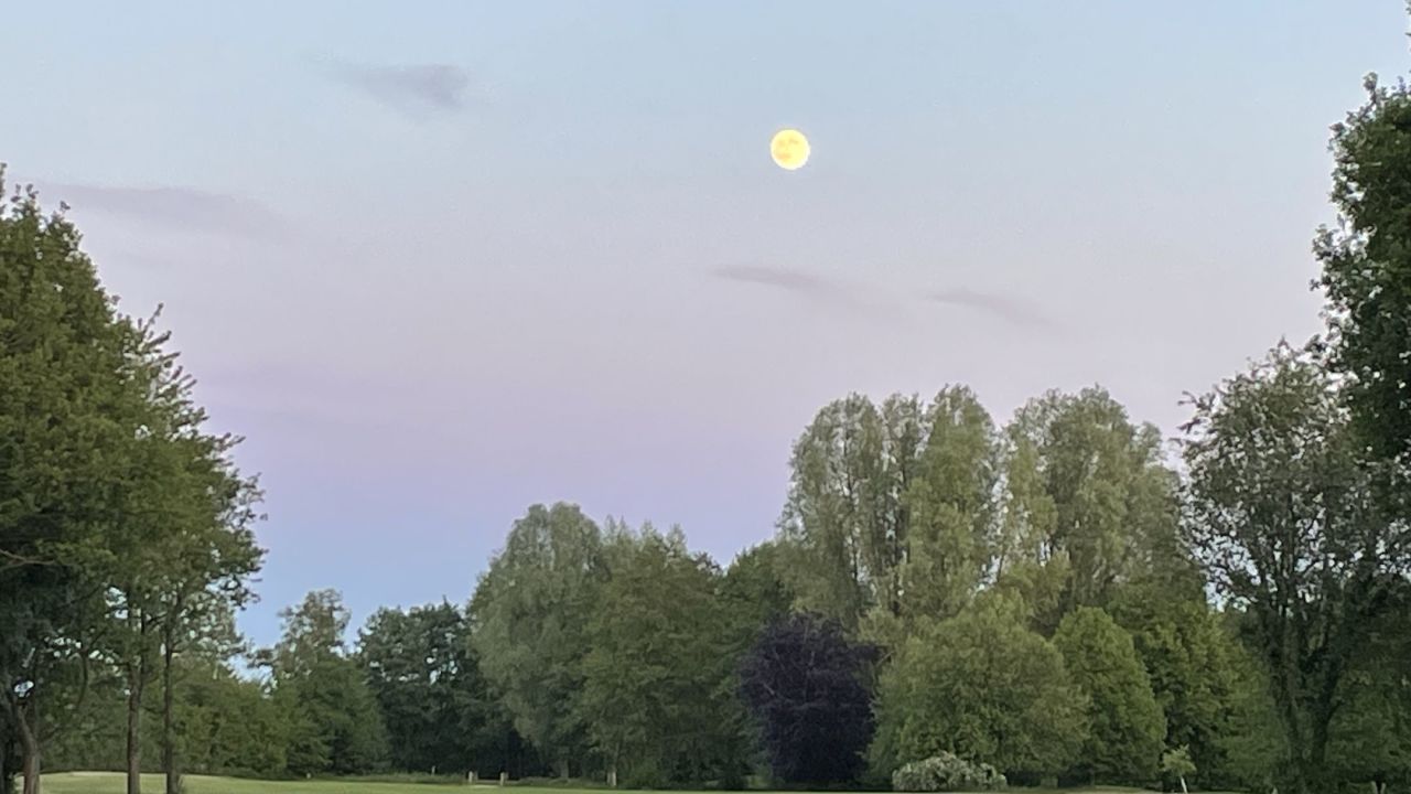 Mittelholsteinischer GC Aukrug