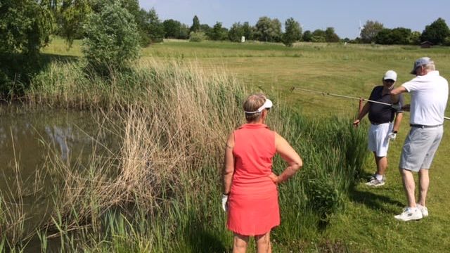 GC Wilhelmshaven-Friesland