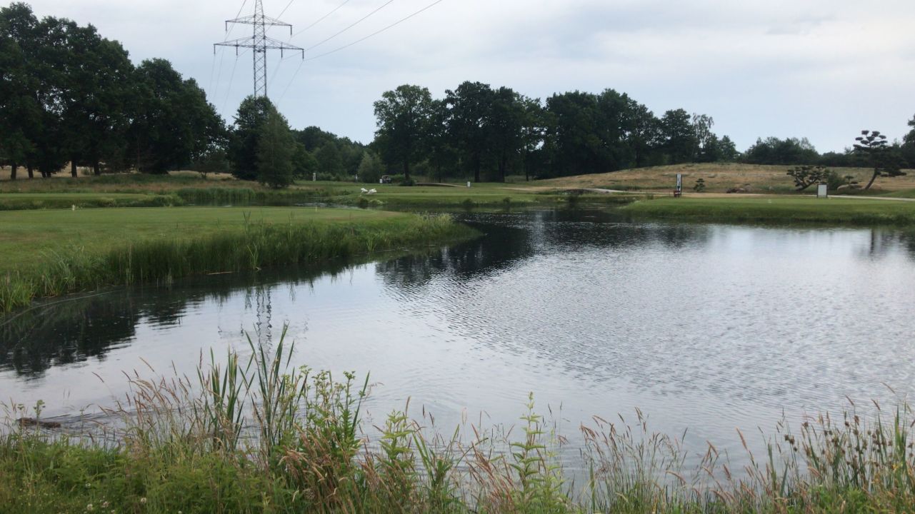 Green Eagle Golf Courses