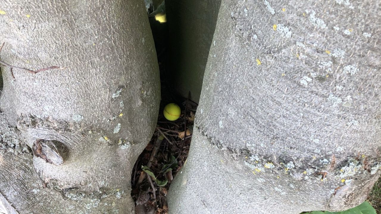 Golf Burg Konradsheim