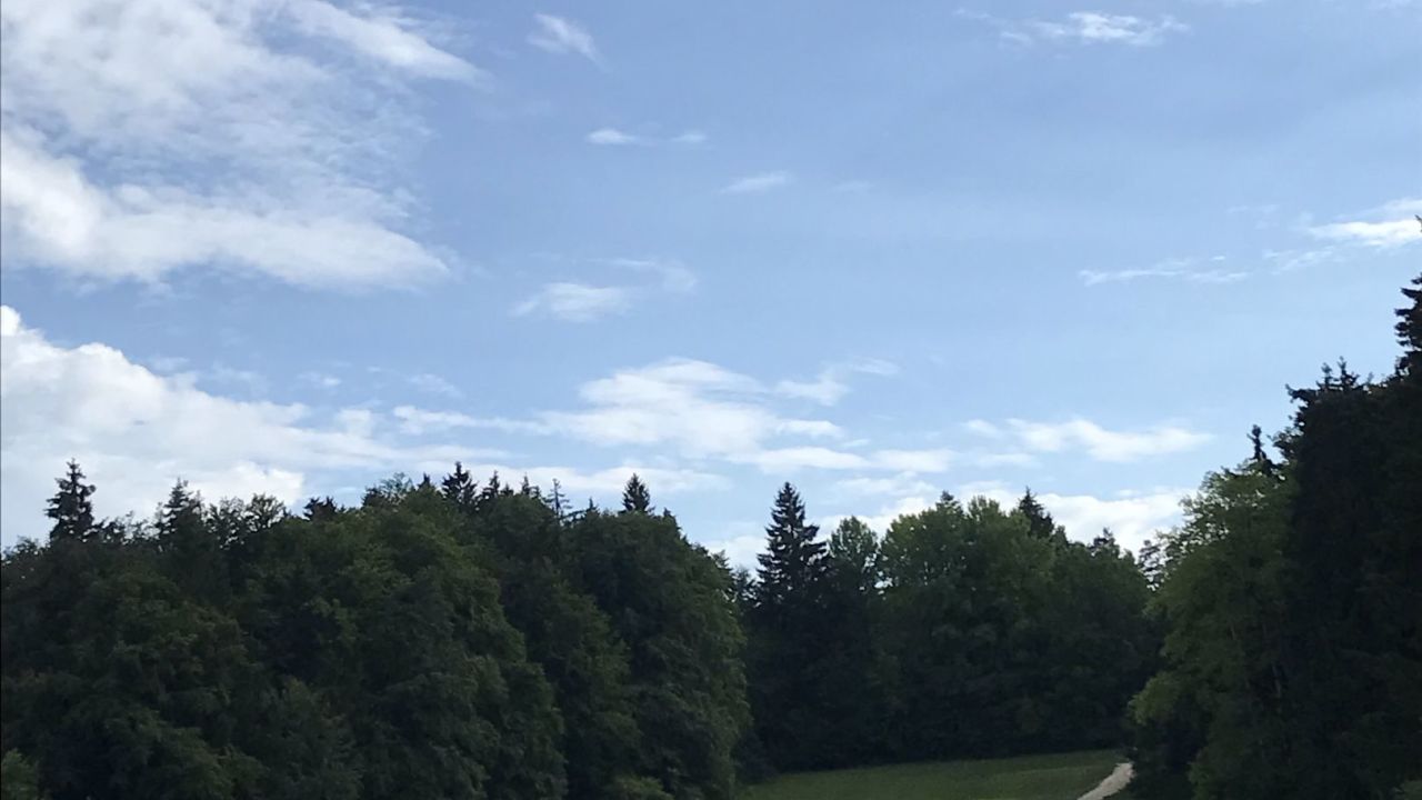 GC Gerhelm Nürnberger Land