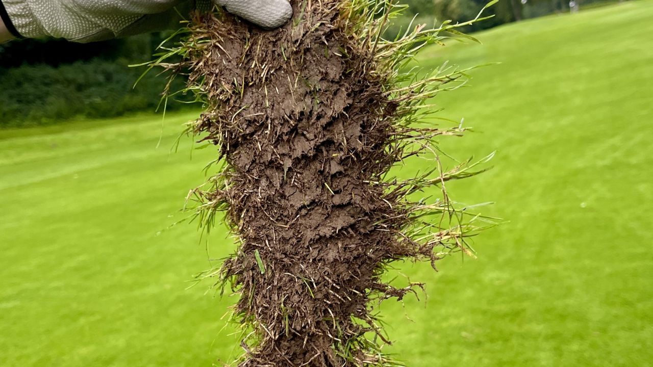 Hamburger LGC Hittfeld