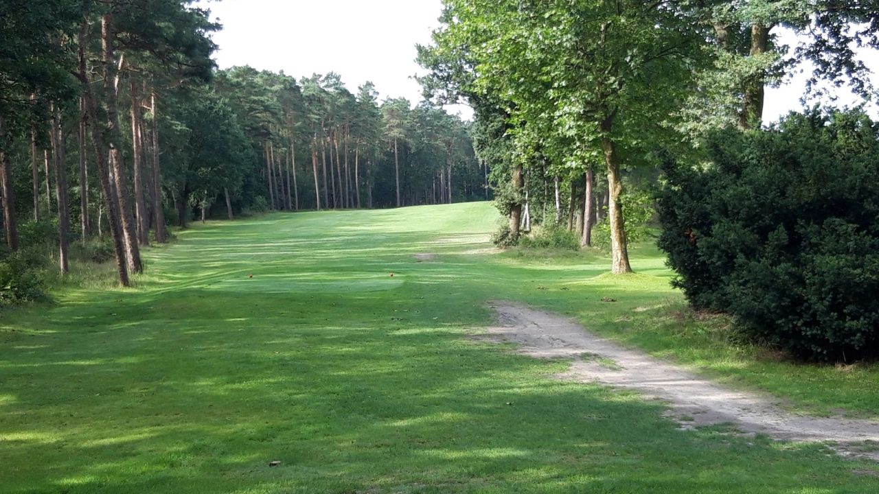 GC Herzogstadt Celle