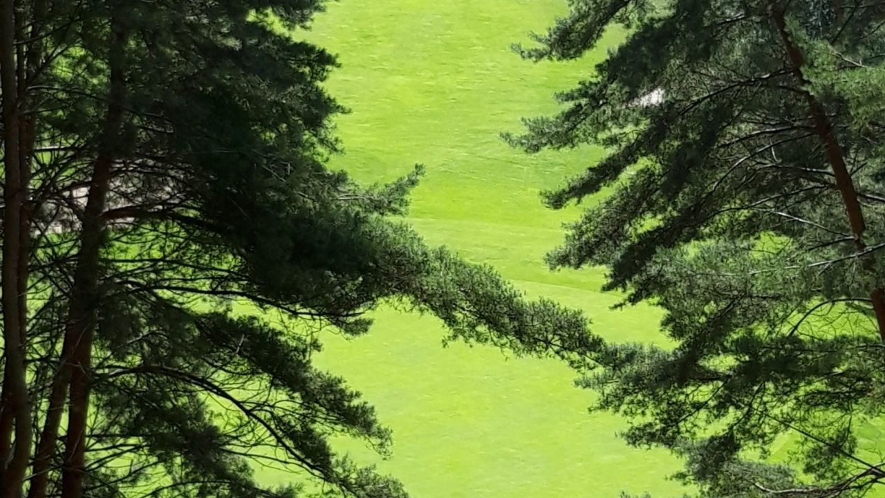 GC Herzogstadt Celle