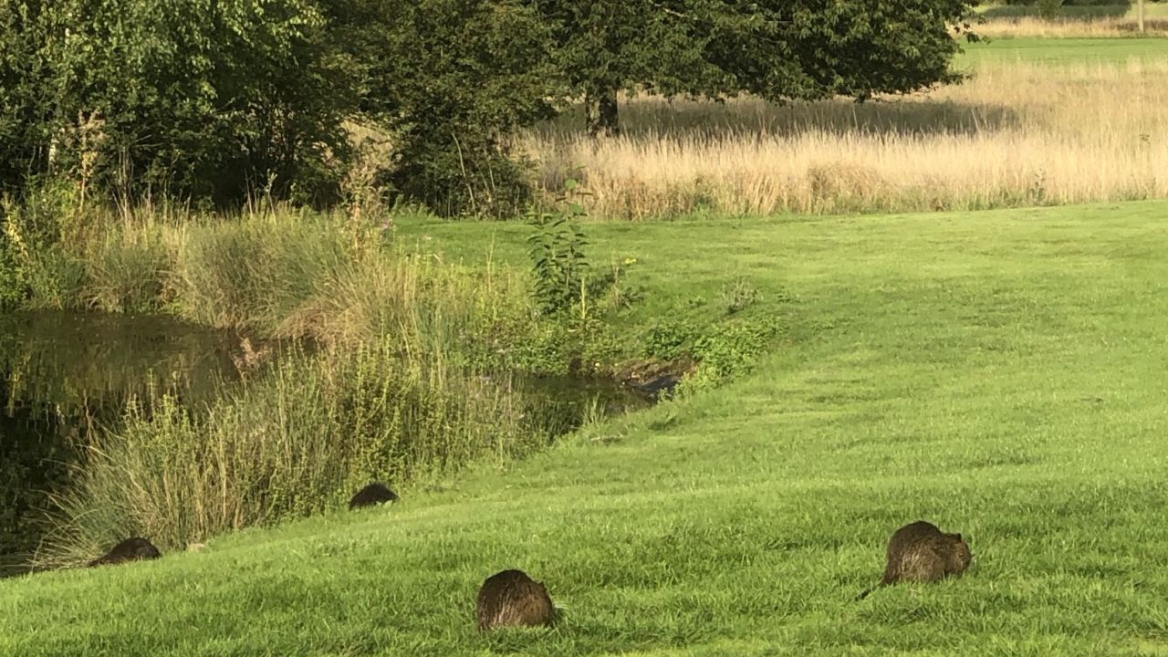 Golf & Country Club Velderhof