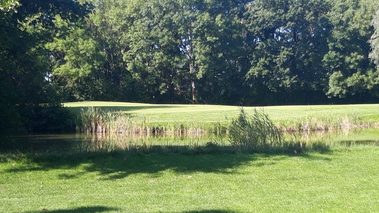 GC Rittergut Hedwigsburg