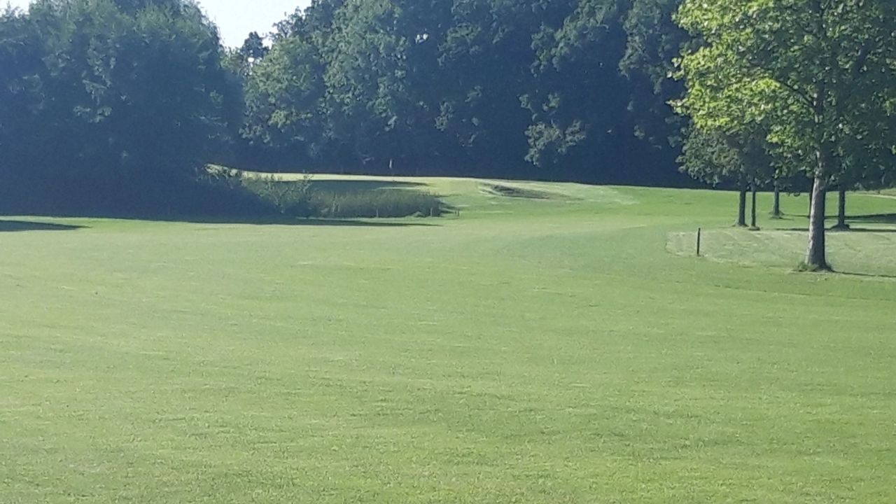 GC Rittergut Hedwigsburg