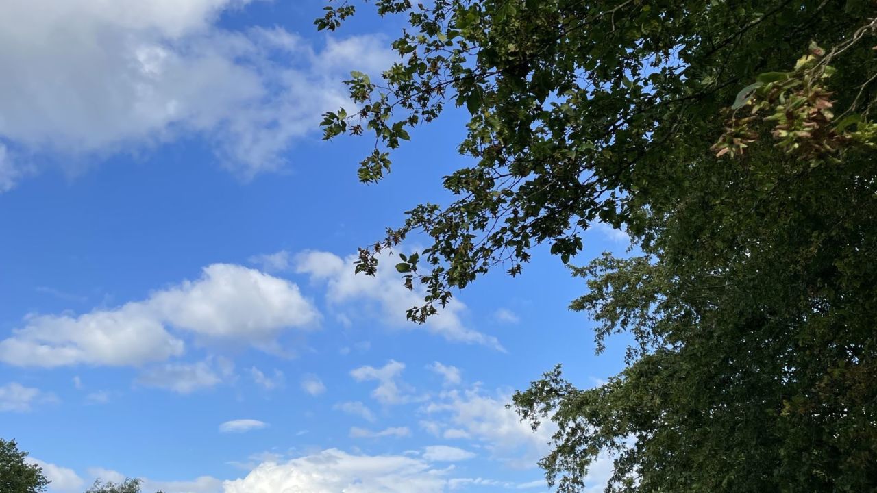 GC Hamburg Walddörfer