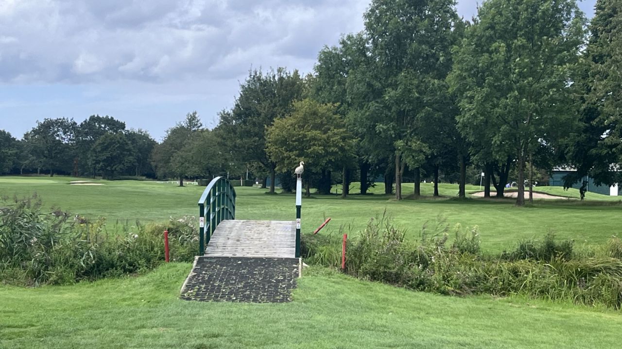 GCC Elfrather Mühle