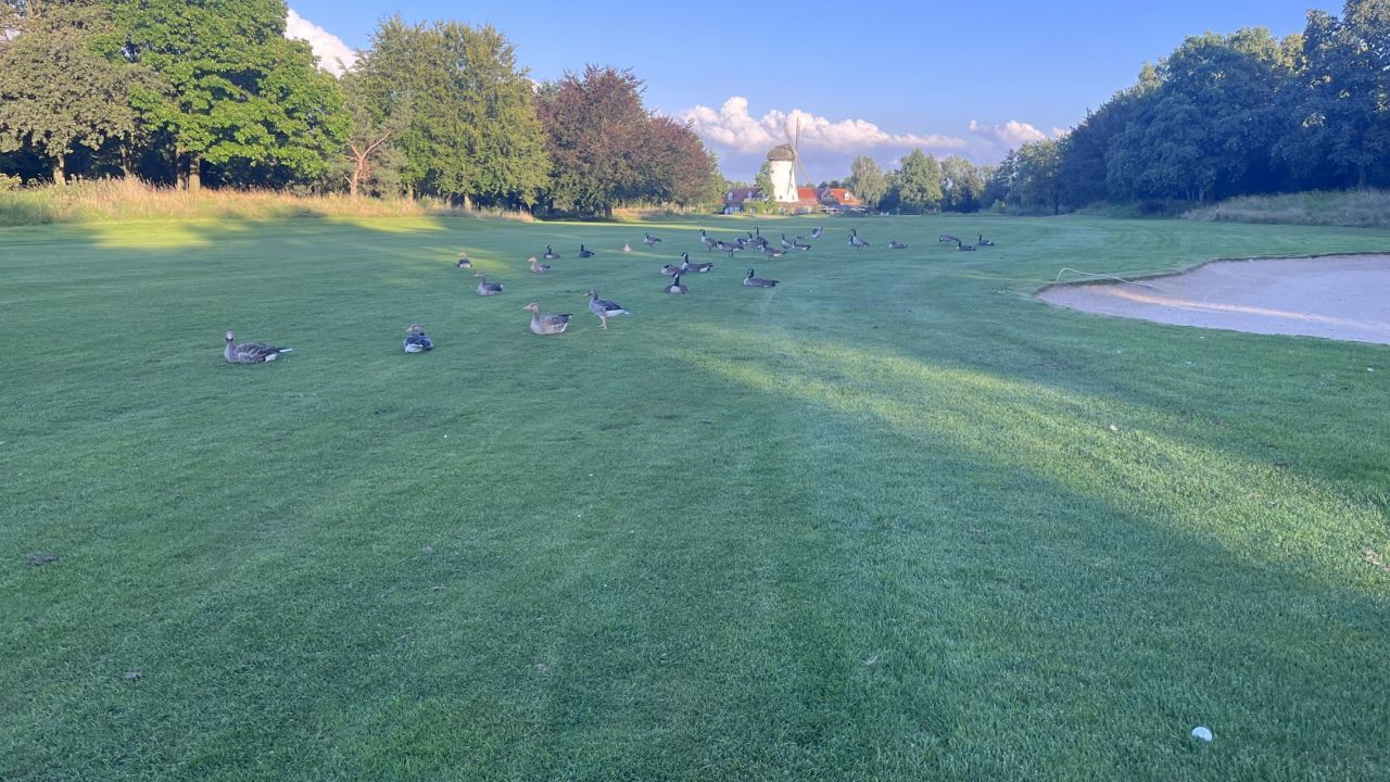 GCC Elfrather Mühle