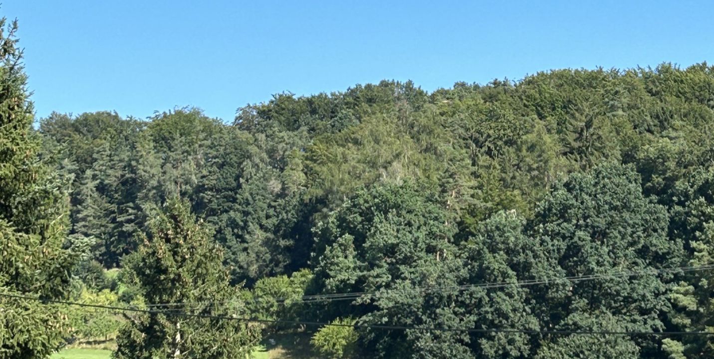 GLC Oberpfälzer Wald