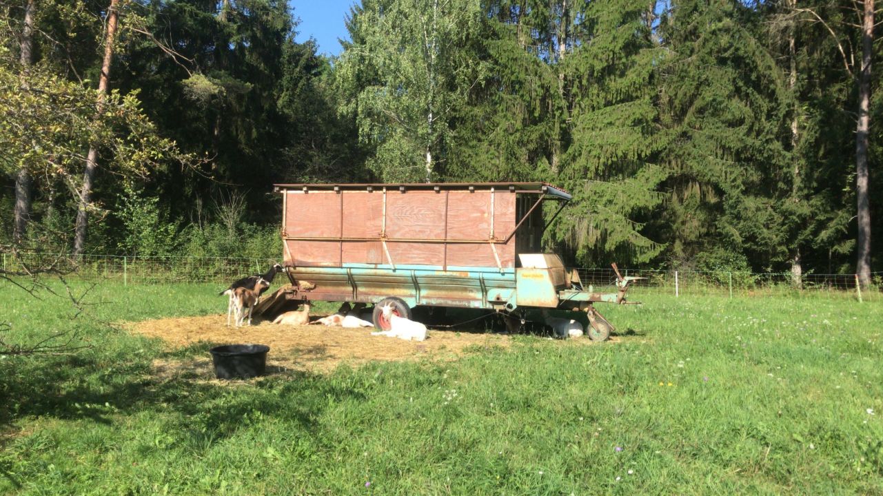 GC Gerhelm Nürnberger Land