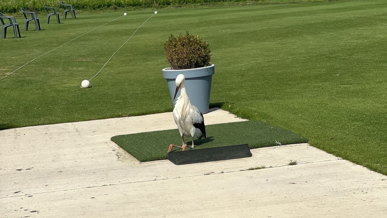 GC Issum-Niederrhein