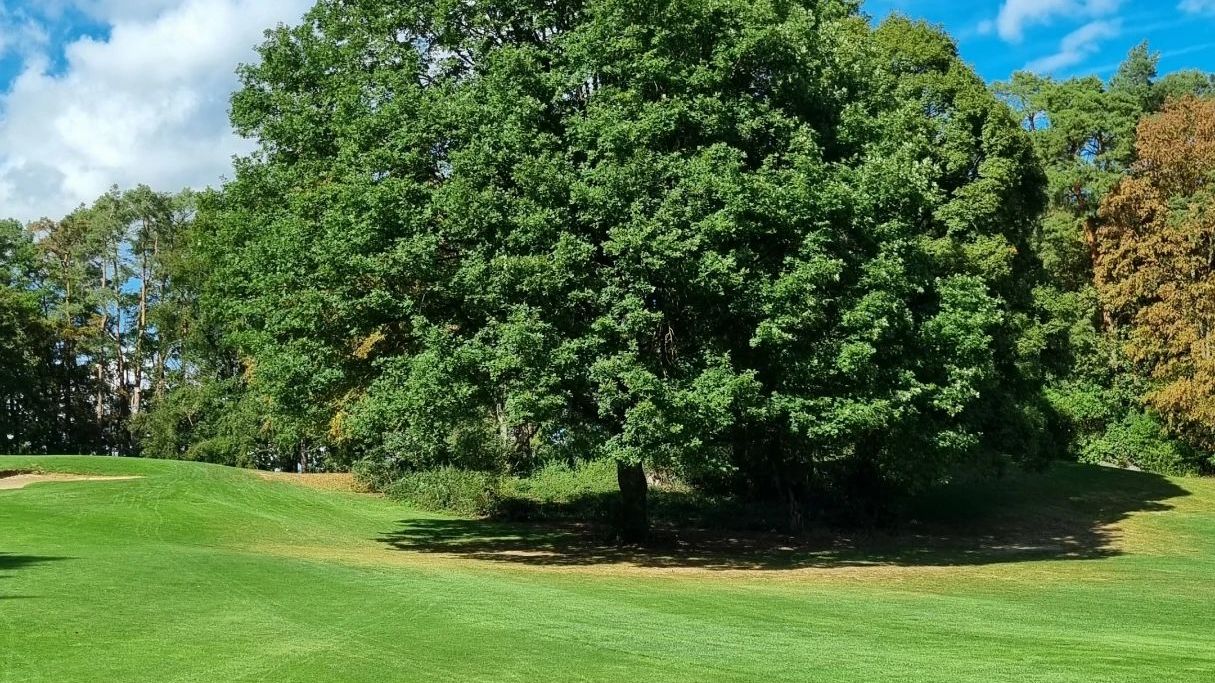 Stuttgarter GC Solitude